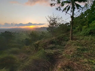 Tanah di Sadimara Ababi Karangasem Bali