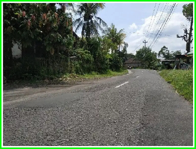 Tanah Dijual Dekat Pasar Gentan Daerah Sardonoharjo Jogja