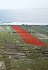 Tanah Los Pantai di Yeh Embang Jembrana - Bali