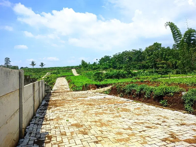 tanah malang lokasi dataran tinggi