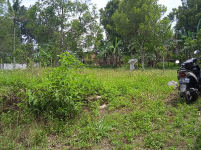 Tanah Murah Cocok Untuk Perumahan