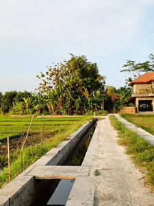 Tanah Sawah Murah di Sewon Bantul Yogyakarta TS 012