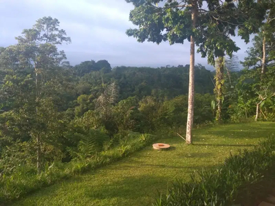 Villa Kayu dengan View Gunung Batukaru