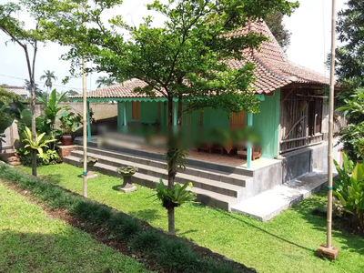 Villa Puncak Bogor, Villa dan Rumah Joglo