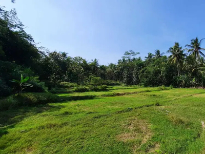 Cari Tanah Jogja, Nanggulan Kulon Progo