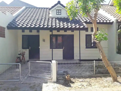 Disewakan rumah Citraland Bukit Palma murah