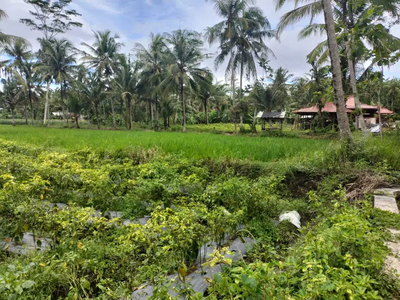 JUAL TANAH KULONPROGO DI SENTOLO KULONPROGO VIEW SAWAH