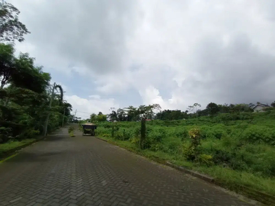 Kavling lokasi tenang dingin dekat kebun teh