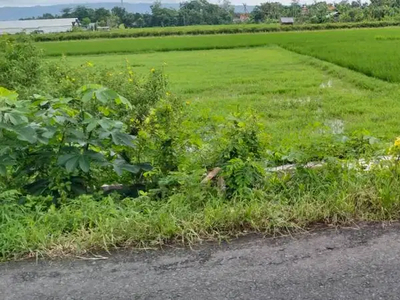 TANAH SAWAH DI SEWON BARAT PASAR KEPEK JALAN IMOGIRI BARAT JL11811