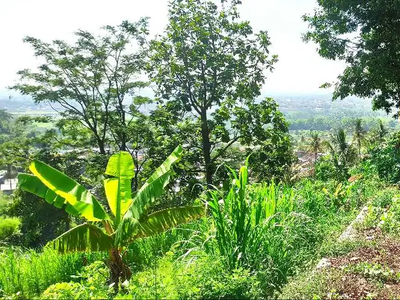 CEPET2AN!! Tanah View Kota Pinggir Aspal Kota Wisata Batu