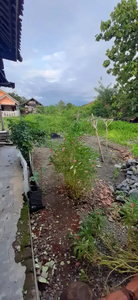 Dijual Cepat Tanah Kosong