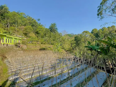 Dijual Murah Tanah Ladang 1427 m2 di Kampung Bojong Purwakarta