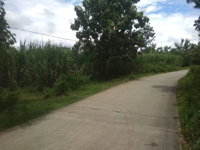 Dijual Murah Tanah Ladang Pinggir Jalan