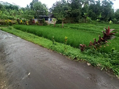 Dijual Sawah langansari parungkuda