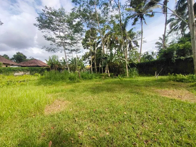 Dijual tanah murah view jungle di Tampaksiring Ubud