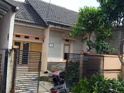 Disewakan rumah