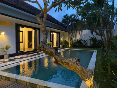 For Rent Yearly Modern Villa 3BR Jalan Raya Canggu Near To Umalas Bali