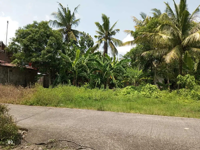 Jual Tanah Kulon Progo Dekat Balai Desa Tawangsari, SHM