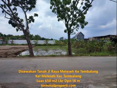 Disewakan Tanah 750 m2 Lbr Dpn 14 m di Jl Raya Meteseh Kec Tembalang