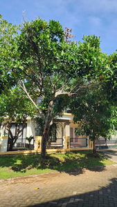 Rumah Bagus Puri Surya Jaya Siap Huni di Gedangan, Sidoarjo