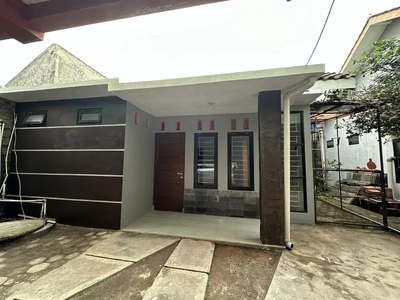 Rumah Di Sewakan Di Area Jalan Damai Palagan