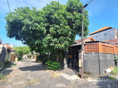 Rumah Siap Huni Dekat Jalan Raya di Kerobokan Singaraja