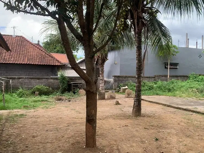 Sewa lahan Disewakan Lahan 6.25 are (25mx25m). Lokasi Dekat Ubud