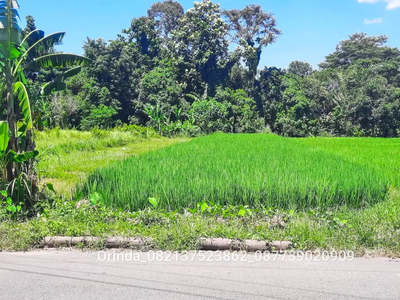 Tanah 1436m2 Jongke Dekat Jl Magelang, Jl Gito-gati, JCM