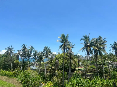 Tanah Dekat Pantai Cemagi Canggu Bali