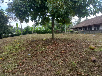 Tanah di jual Pupuan sawah Tabanan bali