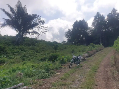 Tanah Kebun Murah Sekali, Lok Cilacap Barat