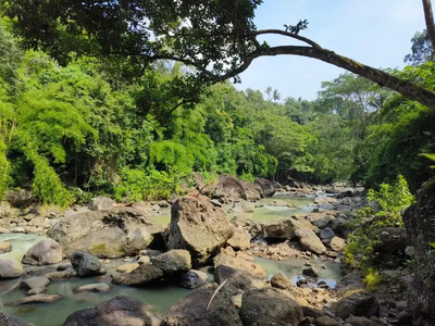 tanah los sungai bebatuan dengan view hutan di bali