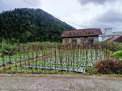 Tanah murah diwisata gunung lawu