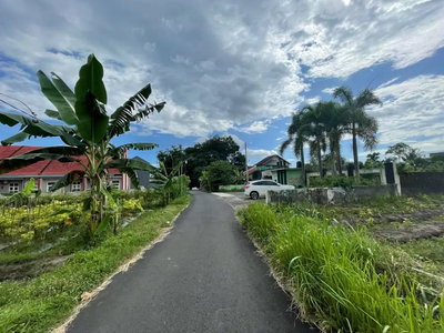 Tanah murah palagan Jogja: utara kampus UGM Mangku Aspal dekat hyatt
