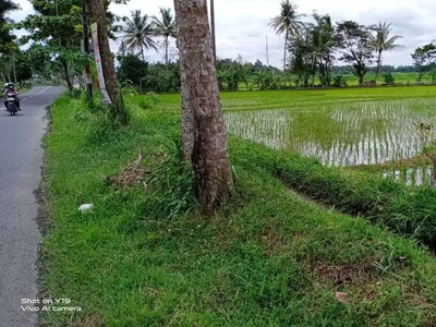 Tanah murah pinggir jalan raya view bagus.