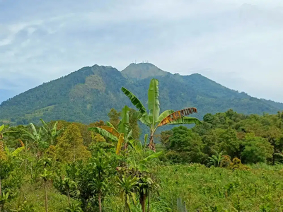 tanah pekarangan