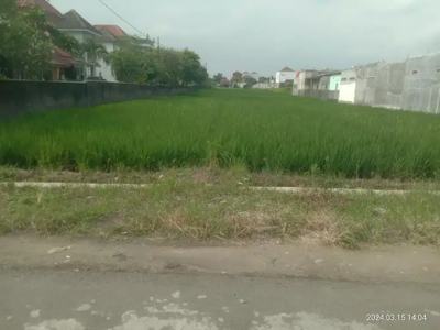 Tanah sawah kering pekarangan siyap bangun