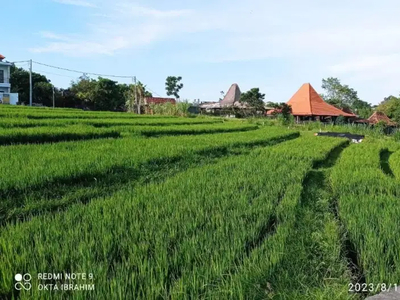 Tanah View Sawah Berawa Canggu Kuta Utara Badung Bali