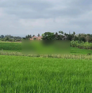 Tanah view terasering menghadap timur sawah akses jalan 4 meter