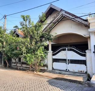 Dijual Rumah Butuh Cepat Laku Medokan Asri 1,5 Lantai Siap Huni