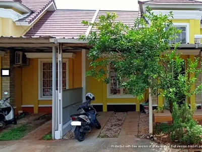 Disewakan Rumah Bagus Siap Huni Di Cluster Acasia Garden