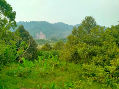 Jual kebun/tanah sudah ada villa nya.