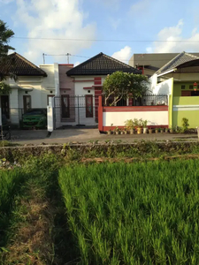 RUMAH MINIMALIS PURA DEMAK JALAN 6 METER