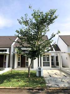 RUMAH SIAP HUNI FULL FURNISHED CLUSTER FEDORA SUVARNA SUTERA 8m x 20m