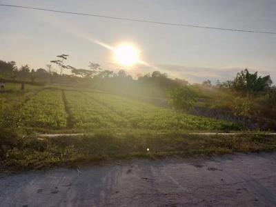 Disewakan tanah timur jogja bay maguwoharjo area sawah view merapi