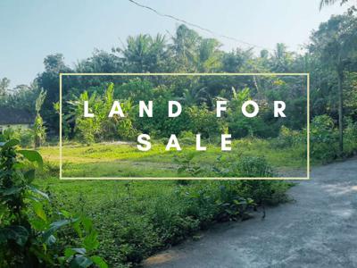Hanya 1 Jutaan! Dijual Tanah Kulon Progo, Selatan Kota Wates