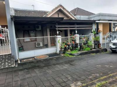 Jual Rumah Luas 92m2 Jln 6m di Padang Lestari