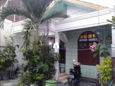 RUMAH KAMPUNG MURAH Bulak Cumpat Bulak Kenjeran Surabaya