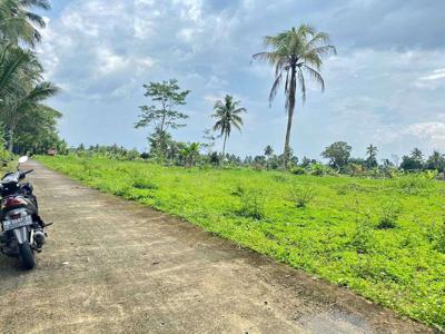 Tanah Dijual Dekat Gerbang Tol Jogja: SHM Pekarangan