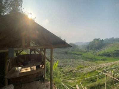 Tanah + Kolam Ikan Pinggir Jalan Dijual Murah di Darangdan Purwakarta